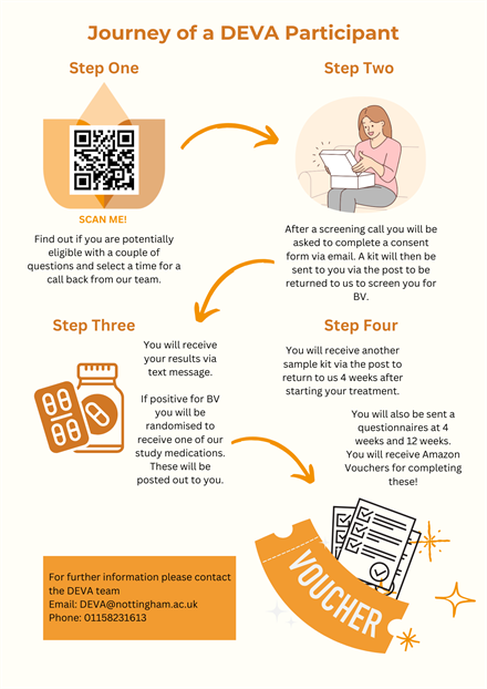 Flowchart for Website